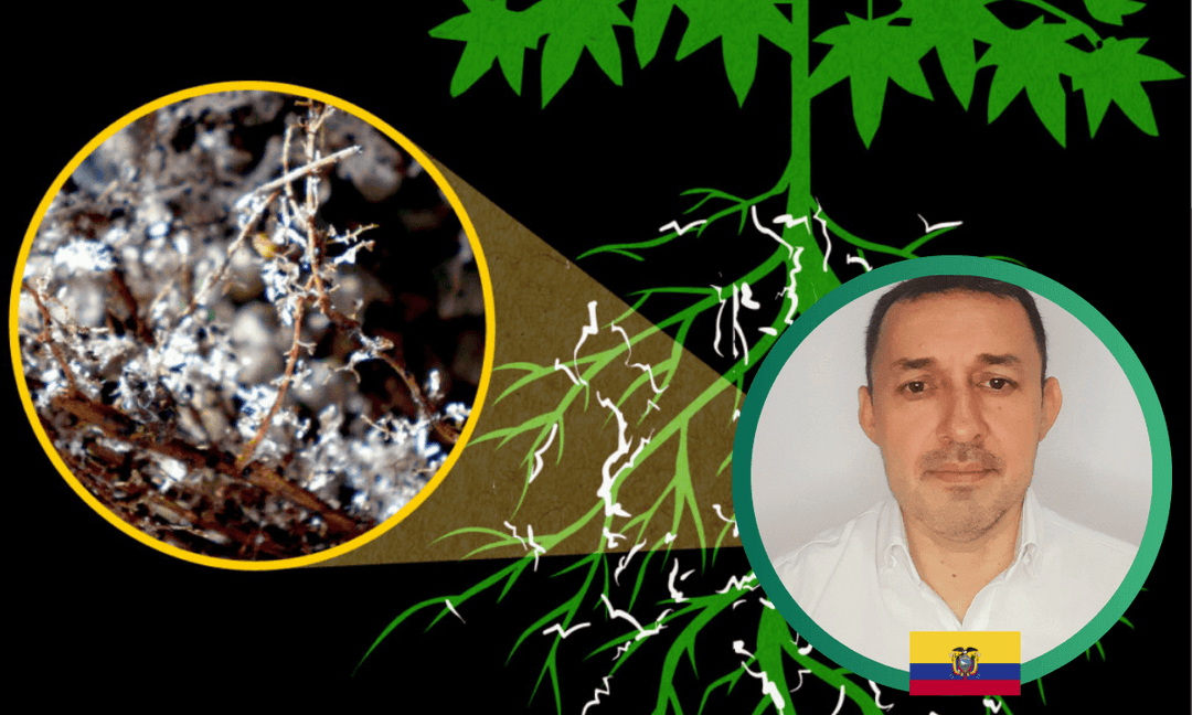 Imagen del curso Producción y Manejo Agronómico de Micorrizas