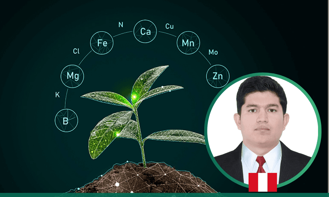 Imagen del curso Fisiología de los Nutrientes en Plantas: Absorción, Transporte y rol fisiológico