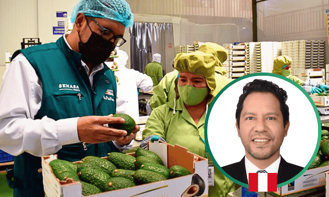 Imagen del curso Trazabilidad, Calidad e Inocuidad agroalimentaria para la Agroexportación