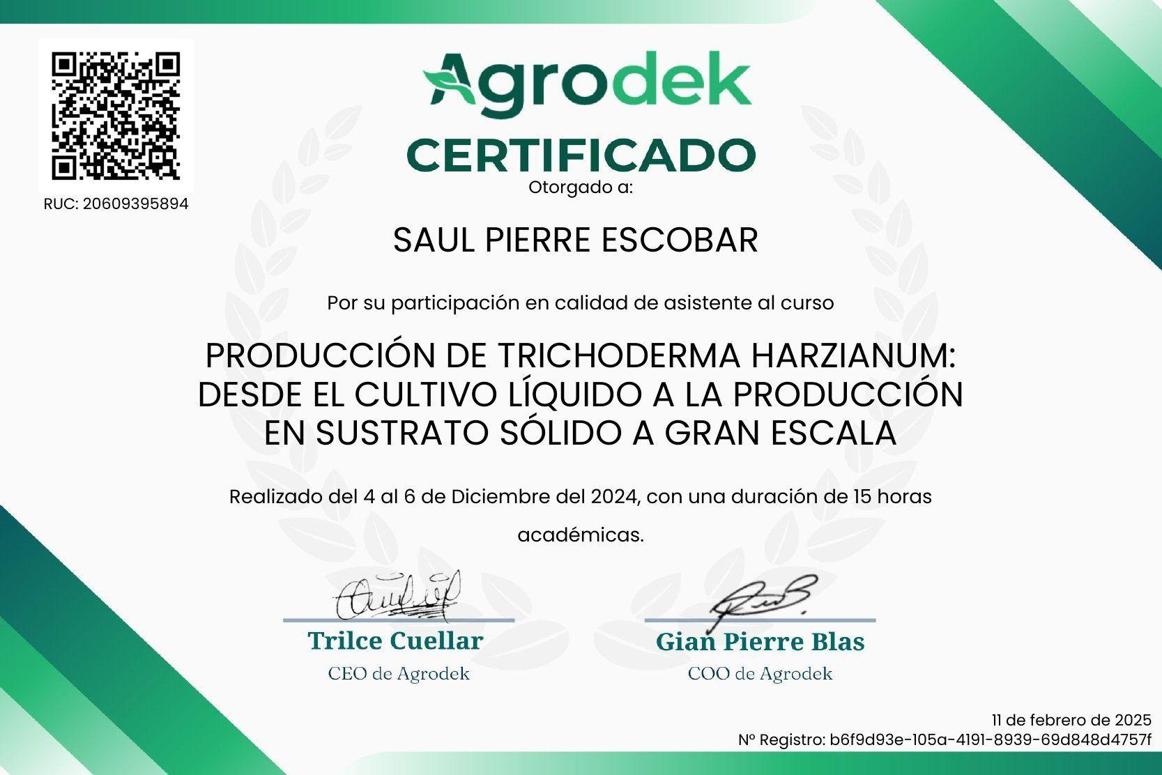 certificado